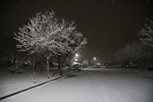 بارش پربرکت باران و برف، ارمغان توکل مؤمنان